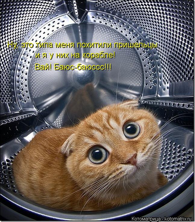 Ну, это типа меня похитили пришельцы и я у них на корабле! Вай! Баюс-баюссс!!!... Котоматрица: Ну, это типа меня похитили пришельцы и я у них на корабле! Вай! Баюс-баюссс!!!