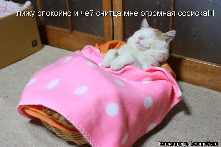 лижу спокойно и чё? снитца мне огромная сосиска!!!... Котоматрица: лижу спокойно и чё? снитца мне огромная сосиска!!!