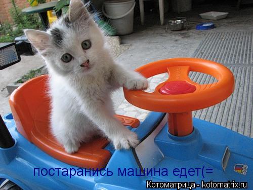 постаранись машина едет(=... Котоматрица: постаранись машина едет(=