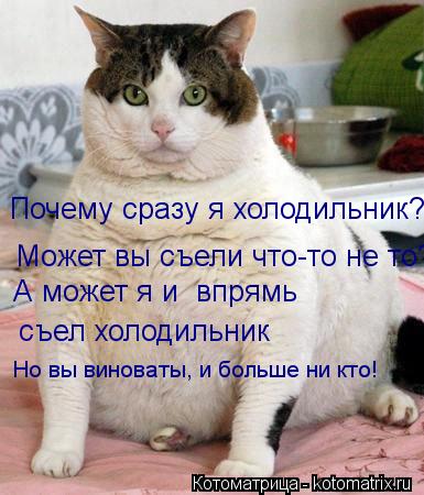 Почему сразу я холодильник? Может вы съели что-то не то? А может я и впрямь съел холодильник Но вы ... Котоматрица: Почему сразу я холодильник? Может вы съели что-то не то? А может я и впрямь съел холодильник Но вы виноваты, и больше ни кто!