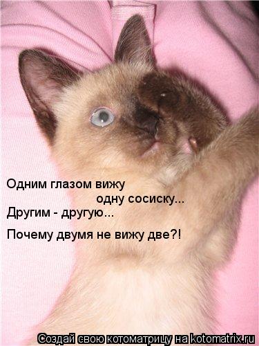 Одним глазом вижу одну сосиску... Другим - другую... Почему двумя не вижу две?!... Котоматрица: Одним глазом вижу одну сосиску... Другим - другую... Почему двумя не вижу две?!