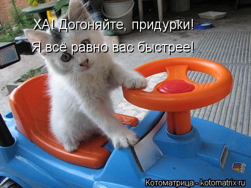 ХА! Догоняйте, придурки! Я всё равно вас быстрее!... Котоматрица: ХА! Догоняйте, придурки! Я всё равно вас быстрее!