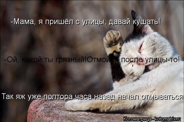 -Мама, я пришёл с улицы, давай кушать! -Ой, какой ты грязный!Отмойся после улицы-то! -Так яж уже полт... Котоматрица: -Мама, я пришёл с улицы, давай кушать! -Ой, какой ты грязный!Отмойся после улицы-то! -Так яж уже полтора часа назад НАЧАЛ отмывался! Так яж уже п