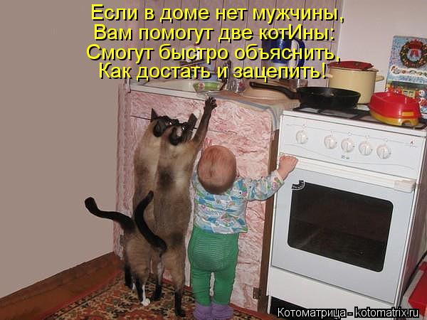 Если в доме нет мужчины, Вам помогут две котИны: Смогут быстро объяснить, Как достать и зацепить!... Котоматрица: Если в доме нет мужчины, Вам помогут две котИны: Смогут быстро объяснить, Как достать и зацепить!