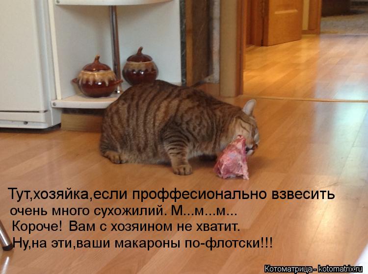 Тут,хозяйка,если проффесионально взвесить Короче! Вам с хозяином не хватит. Ну,на эти,ваши макароны п... Котоматрица: Тут,хозяйка,если проффесионально взвесить Короче! Вам с хозяином не хватит. Ну,на эти,ваши макароны по-флотски!!! очень много сухожилий. М...м.