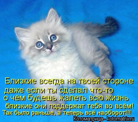 Близкие всегда на твоей стороне даже если ты сделал что-то о чём будешь жалеть всю жизнь близкие они ... Котоматрица: Близкие всегда на твоей стороне даже если ты сделал что-то о чём будешь жалеть всю жизнь близкие они поддержат тебя во всём! Так было раньше,