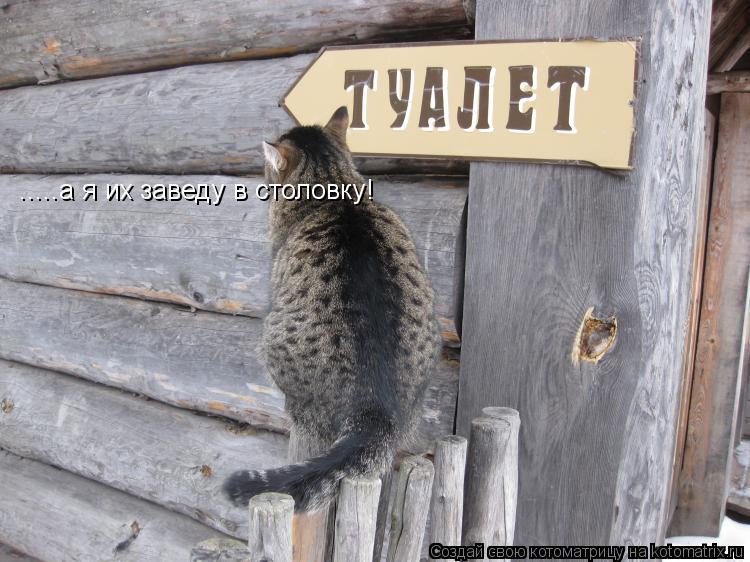 .....а я их заведу в столовку!... Котоматрица: .....а я их заведу в столовку!