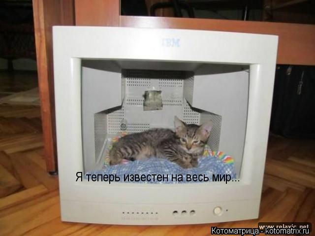Я теперь известен на весь мир...... Котоматрица: Я теперь известен на весь мир...