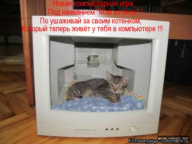 Новая компьютерная игра, Под названием "Мой котёнок" ! По ушаживай за своим котёнком, Который теперь ... Котоматрица: Новая компьютерная игра, Под названием "Мой котёнок" ! По ушаживай за своим котёнком, Который теперь живёт у тебя в компьютере !!!