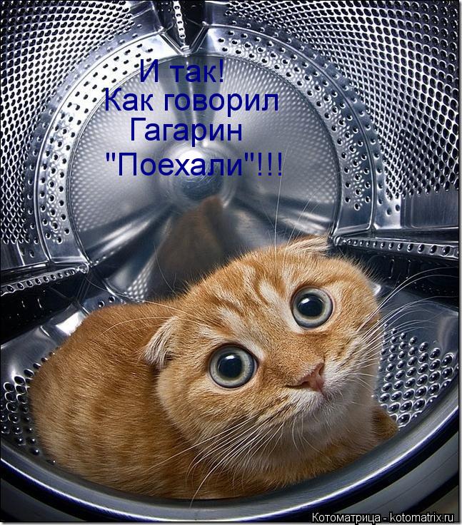И так! Как говорил Гагарин "Поехали"!!!... Котоматрица: И так! Как говорил Гагарин "Поехали"!!!