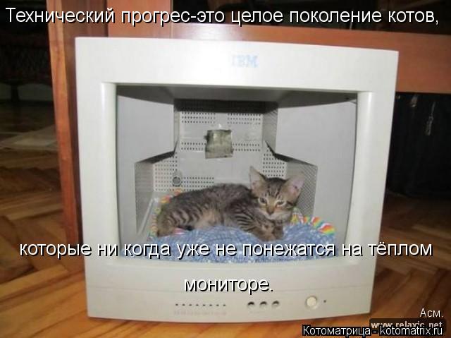 Технический прогрес-это целое поколение котов, которые ни когда уже не понежатся на тёплом мониторе.... Котоматрица: Технический прогрес-это целое поколение котов, которые ни когда уже не понежатся на тёплом мониторе. Асм.