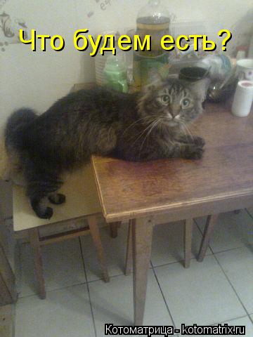 Что будем есть?... Котоматрица: Что будем есть?
