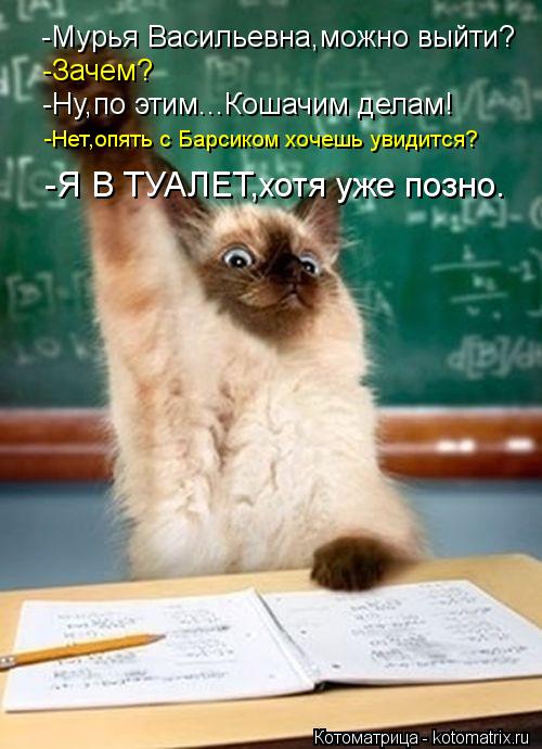 -Мурья Васильевна,можно выйти? -Зачем? -Ну,по этим...Кошачим делам! -Нет,опять с Барсиком хочешь увид... Котоматрица: -Мурья Васильевна,можно выйти? -Зачем? -Ну,по этим...Кошачим делам! -Нет,опять с Барсиком хочешь увидится? -Я В ТУАЛЕТ,хотя уже позно.