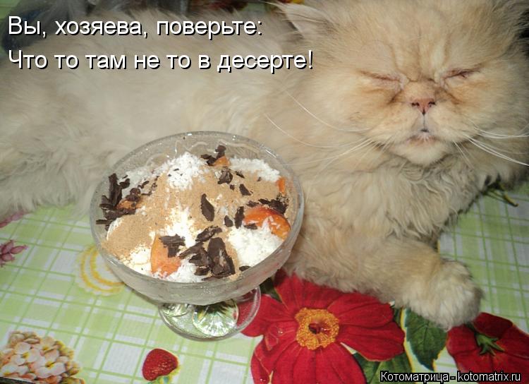 Вы, хозяева, поверьте: Что то там не то в десерте!... Котоматрица: Вы, хозяева, поверьте: Что то там не то в десерте!