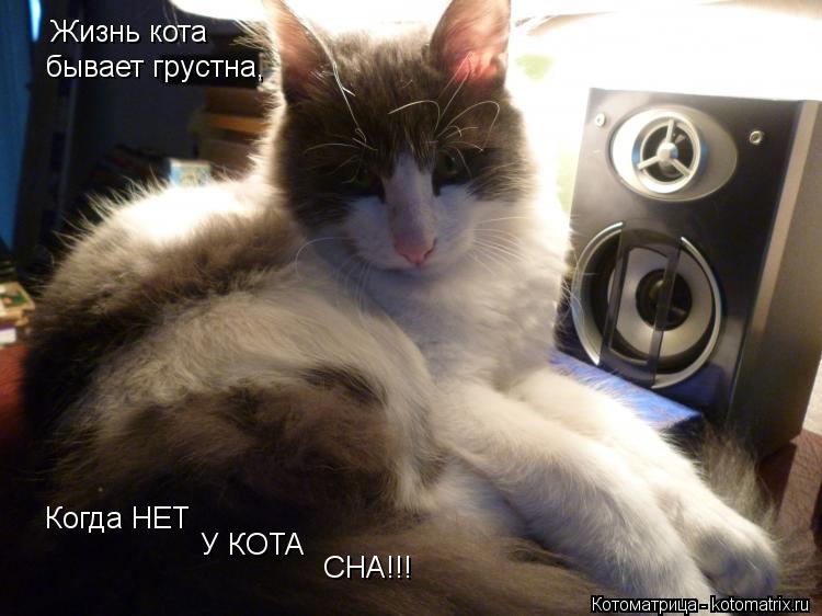 Жизнь кота бывает грустна, У КОТА Когда НЕТ СНА!!!... Котоматрица: Жизнь кота бывает грустна, У КОТА Когда НЕТ СНА!!!