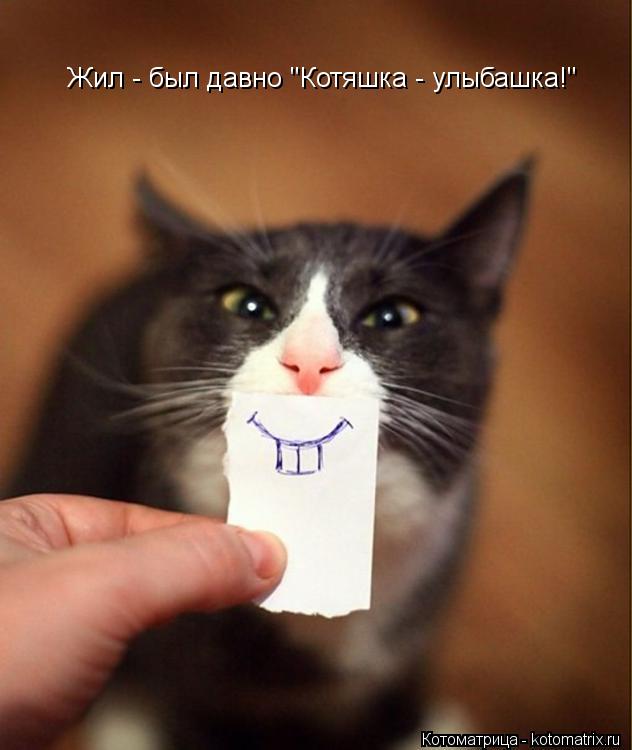 Жил - был давно "Котяшка - улыбашка!"... Котоматрица: Жил - был давно "Котяшка - улыбашка!"