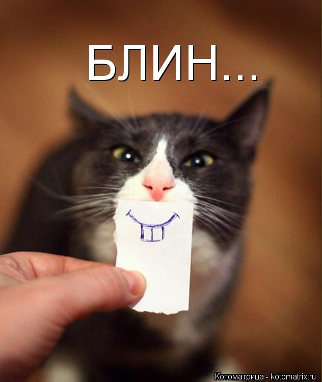 БЛИН...... Котоматрица: БЛИН...