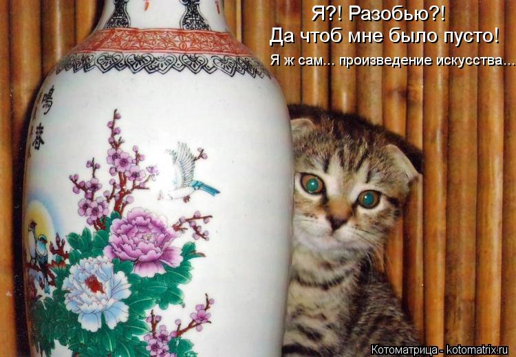 Я?! Разобью?! Да чтоб мне было пусто! Я ж сам... произведение искусства...... Котоматрица: Я?! Разобью?! Да чтоб мне было пусто! Я ж сам... произведение искусства...