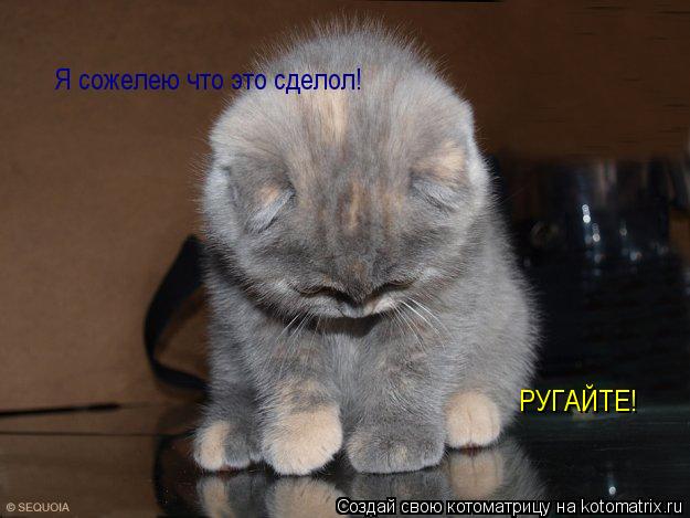 РУГАЙТЕ! Я сожелею что это сделол!... Котоматрица: РУГАЙТЕ! Я сожелею что это сделол!