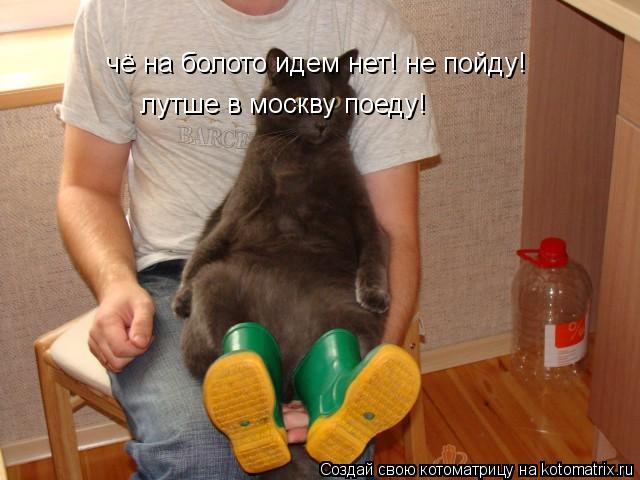 чё на болото идем нет! не пойду! лутше в москву поеду!... Котоматрица: чё на болото идем нет! не пойду! лутше в москву поеду!