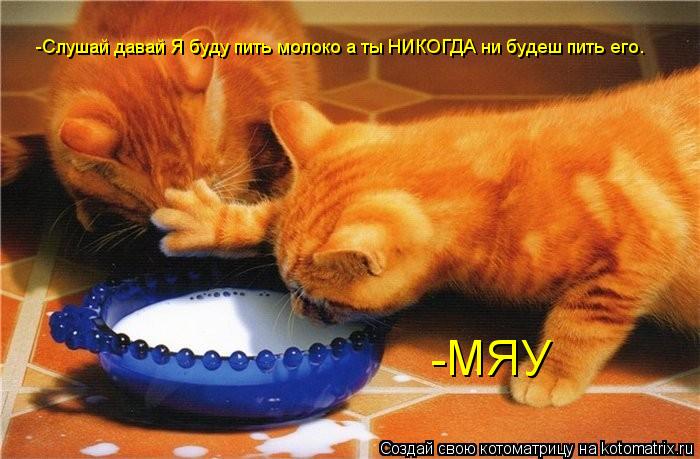 -Слушай давай Я буду пить молоко а ты НИКОГДА ни будеш пить его. -МЯУ... Котоматрица: -Слушай давай Я буду пить молоко а ты НИКОГДА ни будеш пить его. -МЯУ