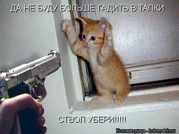 ДА НЕ БУДУ БОЛЬШЕ ГАДИТЬ В ТАПКИ СТВОЛ УБЕРИ!!!!!... Котоматрица: ДА НЕ БУДУ БОЛЬШЕ ГАДИТЬ В ТАПКИ СТВОЛ УБЕРИ!!!!!