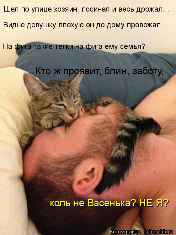 Шел по улице хозяин, посинел и весь дрожал... Видно девушку плохую он до дому провожал... На фига так... Котоматрица: Шел по улице хозяин, посинел и весь дрожал... Видно девушку плохую он до дому провожал... На фига такие тетки,на фига ему семья? коль не Васеньк
