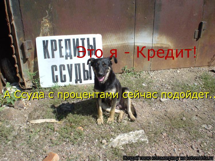 Это я - Кредит! А Ссуда с процентами сейчас подойдет...... Котоматрица: Это я - Кредит! А Ссуда с процентами сейчас подойдет...