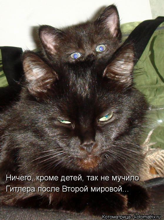 Ничего, кроме детей, так не мучило Гитлера после Второй мировой...... Котоматрица: Ничего, кроме детей, так не мучило Гитлера после Второй мировой...