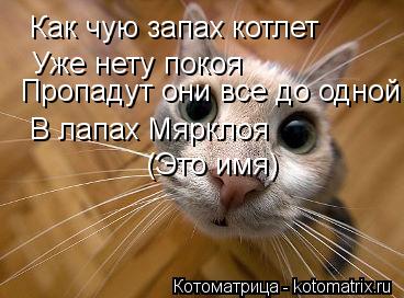 Как чую запах котлет Уже нету покоя Пропадут они все до одной В лапах Мярклоя (Это имя)... Котоматрица: Как чую запах котлет Уже нету покоя Пропадут они все до одной В лапах Мярклоя (Это имя)