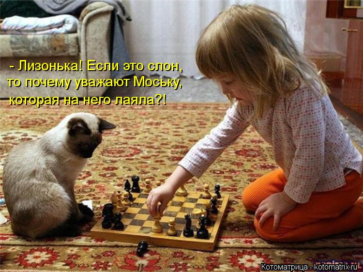 - Лизонька! Если это слон, то почему уважают Моську, которая на него лаяла?!... Котоматрица: - Лизонька! Если это слон, то почему уважают Моську, которая на него лаяла?!