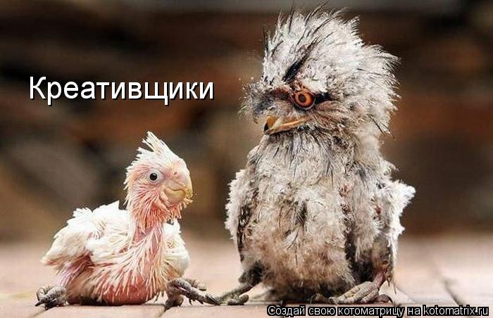 Креативщики... Котоматрица: Креативщики