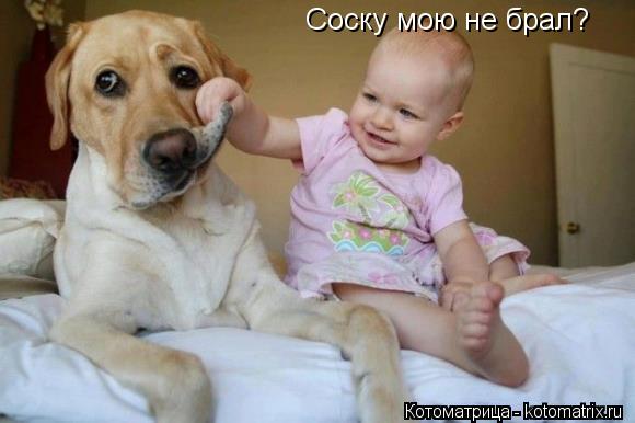 Соску мою не брал?... Котоматрица: Соску мою не брал?