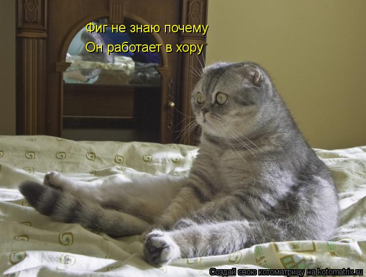 Фиг не знаю почему Он работает в хору... Котоматрица: Фиг не знаю почему Он работает в хору