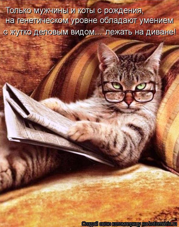 Только мужчины и коты с рождения, на генетическом уровне обладают умением с жутко деловым видом… ле... Котоматрица: Только мужчины и коты с рождения, на генетическом уровне обладают умением с жутко деловым видом… лежать на диване!
