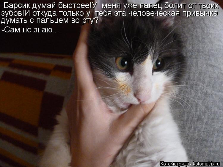 -Барсик,думай быстрее!У меня уже палец болит от твоих зубов!И откуда только у тебя эта человеческая... Котоматрица: -Барсик,думай быстрее!У меня уже палец болит от твоих зубов!И откуда только у тебя эта человеческая привычка думать с пальцем во рту? -Сам н