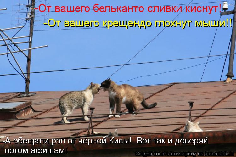 -От вашего крещендо глохнут мыши!! -От вашего бельканто сливки киснут! -А обещали рэп от чёрной Кисы!... Котоматрица: -От вашего крещендо глохнут мыши!! -От вашего бельканто сливки киснут! -А обещали рэп от чёрной Кисы! Вот так и доверяй потом афишам!