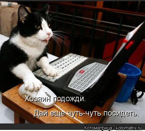 Хозяин подожди. Дай еще чуть-чуть посидеть.... Котоматрица: Хозяин подожди. Дай еще чуть-чуть посидеть.