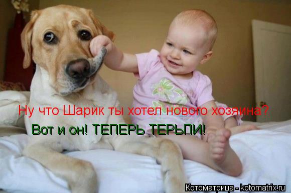 Ну что Шарик ты хотел нового хозяина? Вот и он! ТЕПЕРЬ ТЕРЬПИ!... Котоматрица: Ну что Шарик ты хотел нового хозяина? Вот и он! ТЕПЕРЬ ТЕРЬПИ!