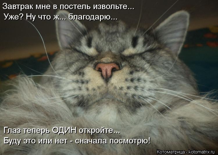 Завтрак мне в постель извольте... Уже? Ну что ж... благодарю... Глаз теперь ОДИН откройте... Буду это... Котоматрица: Завтрак мне в постель извольте... Уже? Ну что ж... благодарю... Глаз теперь ОДИН откройте... Буду это или нет - сначала посмотрю!