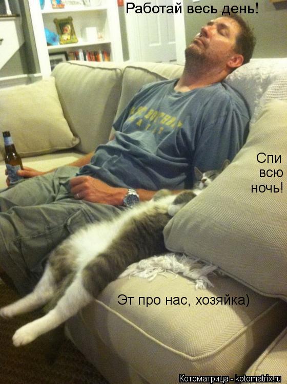 Спи всю ночь! Работай весь день! Эт про нас, хозяйка)... Котоматрица: Спи всю ночь! Работай весь день! Эт про нас, хозяйка)