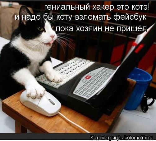 гениальный хакер это котэ! и надо бы коту взломать фейсбук пока хозяин не пришёл... Котоматрица: гениальный хакер это котэ! и надо бы коту взломать фейсбук пока хозяин не пришёл