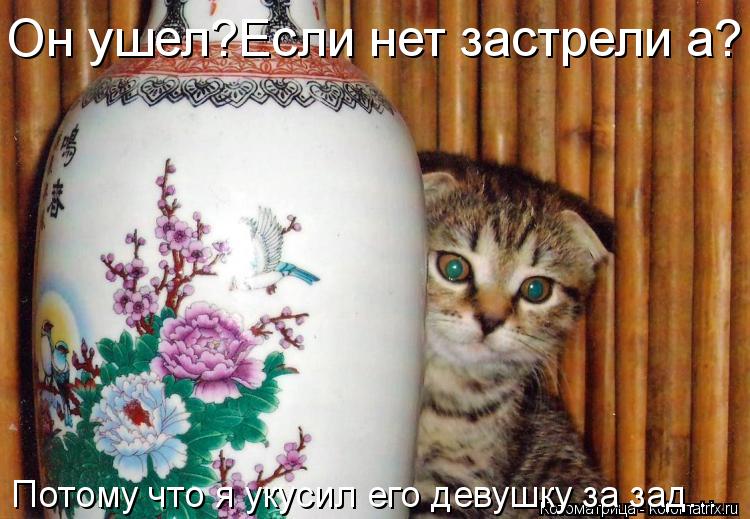 Он ушел?Если нет застрели а? Потому что я укусил его девушку за зад...... Котоматрица: Он ушел?Если нет застрели а? Потому что я укусил его девушку за зад...