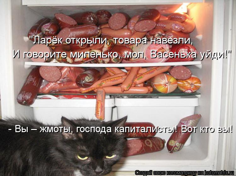 "Ларёк открыли, товара навезли, И говорите миленько, мол, Васенька уйди!" - Вы – жмоты, господа капи... Котоматрица: "Ларёк открыли, товара навезли, И говорите миленько, мол, Васенька уйди!" - Вы – жмоты, господа капиталисты! Вот кто вы!