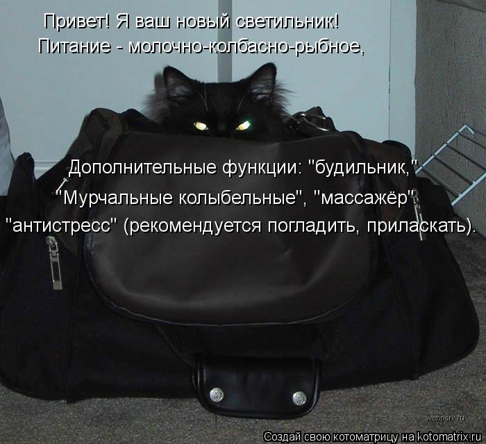 Привет! Я ваш новый светильник! Питание - молочно-колбасно-рыбное, Дополнительные функции: "будильни... Котоматрица: Привет! Я ваш новый светильник! Питание - молочно-колбасно-рыбное, Дополнительные функции: "будильник," "Мурчальные колыбельные", "массажёр" "