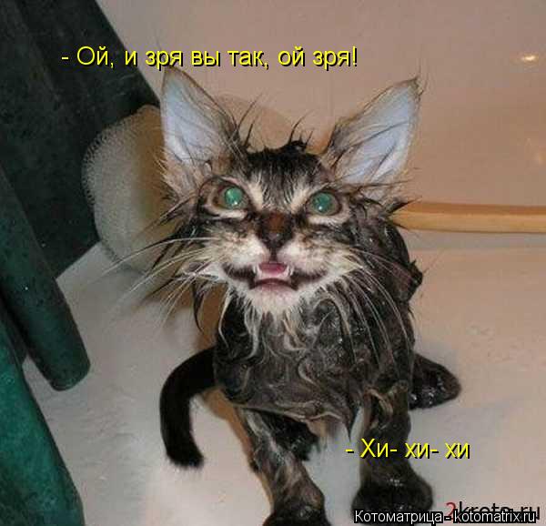 - Ой, и зря вы так, ой зря! - Хи- хи- хи... Котоматрица: - Ой, и зря вы так, ой зря! - Хи- хи- хи