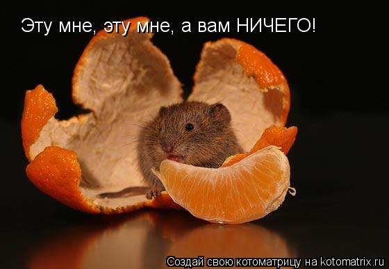Эту мне, эту мне, а вам НИЧЕГО!... Котоматрица: Эту мне, эту мне, а вам НИЧЕГО!