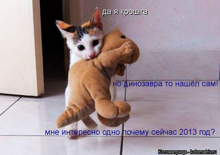 да я крошка но динозавра то нашёл сам! мне интересно одно почему сейчас 2013 год?... Котоматрица: да я крошка но динозавра то нашёл сам! мне интересно одно почему сейчас 2013 год?
