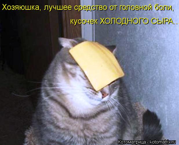 кусочек ХОЛОДНОГО СЫРА... Хозяюшка, лучшее средство от головной боли,... Котоматрица: кусочек ХОЛОДНОГО СЫРА... Хозяюшка, лучшее средство от головной боли,