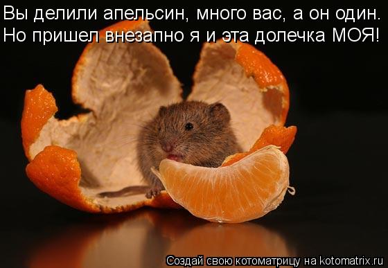 Вы делили апельсин, много вас, а он один. Но пришел внезапно я и эта долечка МОЯ!... Котоматрица: Вы делили апельсин, много вас, а он один. Но пришел внезапно я и эта долечка МОЯ!